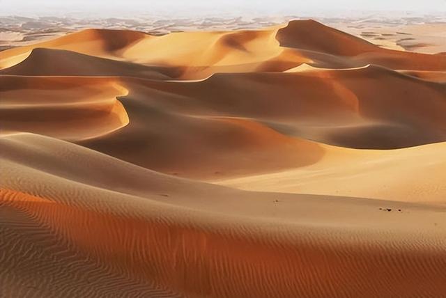 野外探险发现一只甲虫(罗布泊发现轿车大的神秘甲虫)(10)