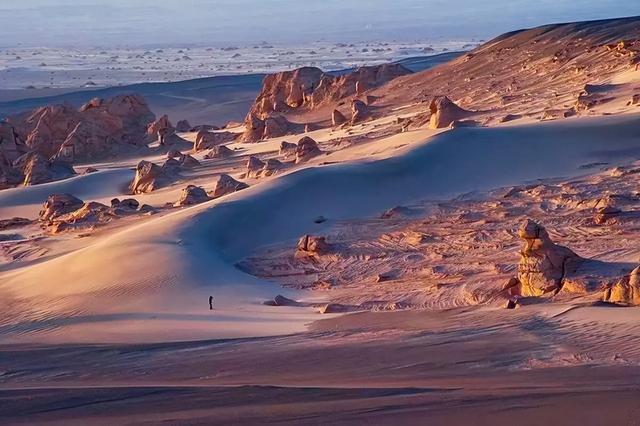 野外探险发现一只甲虫(罗布泊发现轿车大的神秘甲虫)(2)