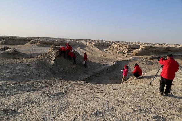 野外探险发现一只甲虫(罗布泊发现轿车大的神秘甲虫)(13)