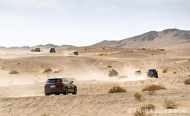 野外探险发现一只甲虫(罗布泊发现轿车大的神秘甲虫)(1)