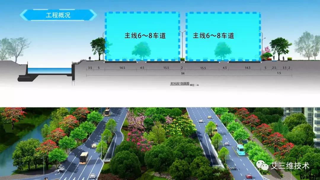 横断面是什么意思(什么是横断面)