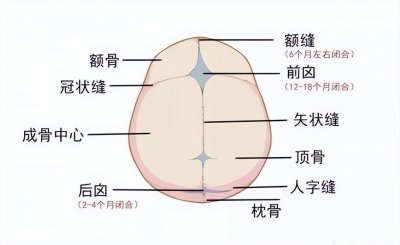 ​宝宝的囟门，妈妈你了解吗？