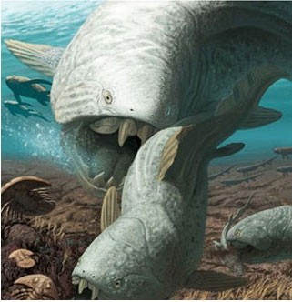 远古海霸王邓氏鱼，一口就能把鲨鱼咬成两截，你见过吗？