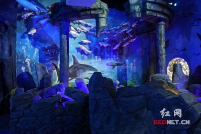 ​长沙海立方海洋公园开园 首创情景式互动