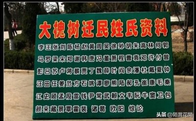 ​有多少姓氏是从山西大槐树迁移出来的？