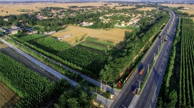 河北省馆陶县寿东粮画小镇