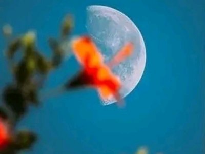 ​冷门5字绝美意境古诗（十首有意境小众冷门的诗词）