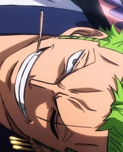 ​索隆经典台词，我的DNA又动了