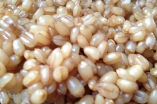 汉朝时期军队的军粮都是些什么?