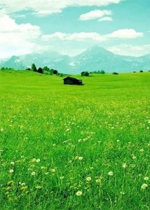 黄冈市高中前十名排名 相信很多同学和家长在选择高中...