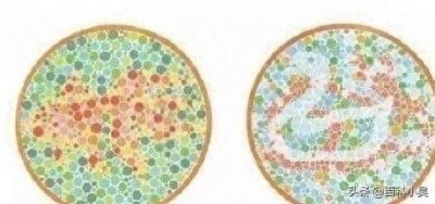 车管所4张色盲检测图曝光:看不到图中的动物图案,或许无缘驾考