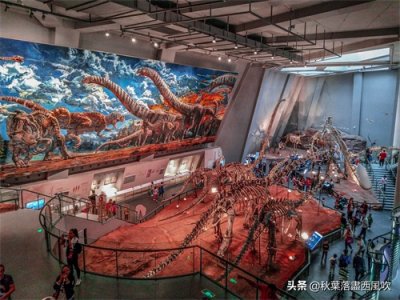 重庆自然博物馆:寓教于乐的亲子一日游好去处。免费还有恐龙看