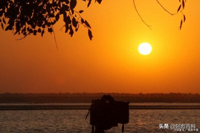 全世界最长的10条河流,长江排名第三,第一名全长6650公里