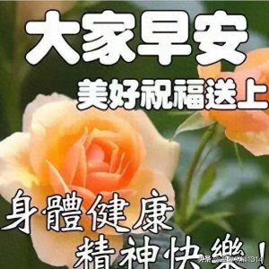 非常漂亮的鲜花表情包图片带字,早安问候语暖心问候语图片。