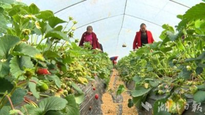 广水:这里的直播间带着泥土香