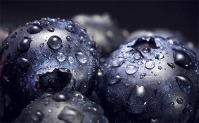 蓝莓:珍贵的小果实,天然的蓝宝石