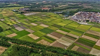 生态农业:守护绿水青山,农业革命的崭新征程